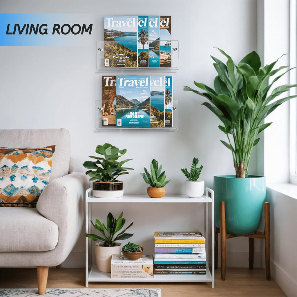 Clear Acrylic Wall Mount Magazine Display Organizer