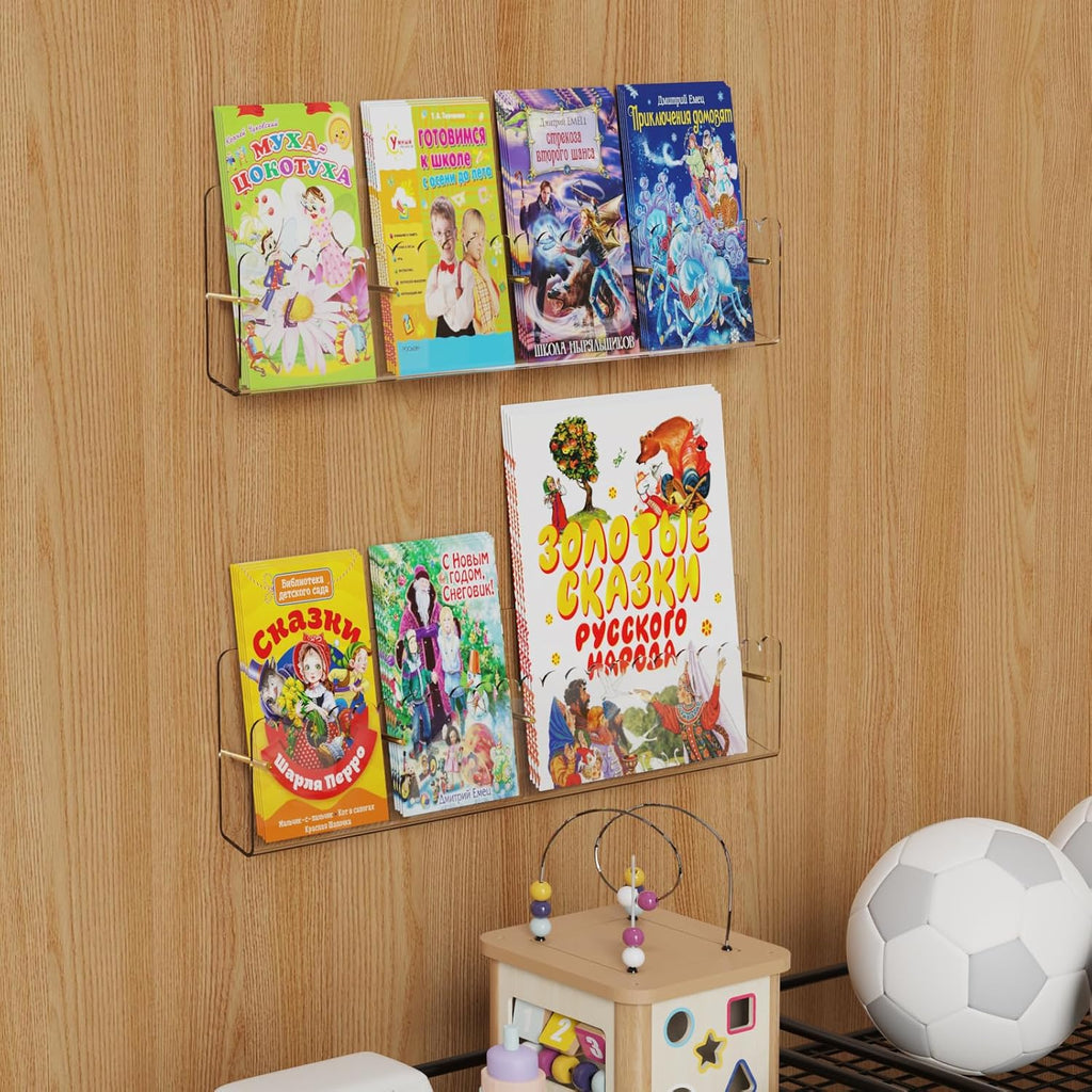 Acrylic Wall Mount Brochure Display Organizer